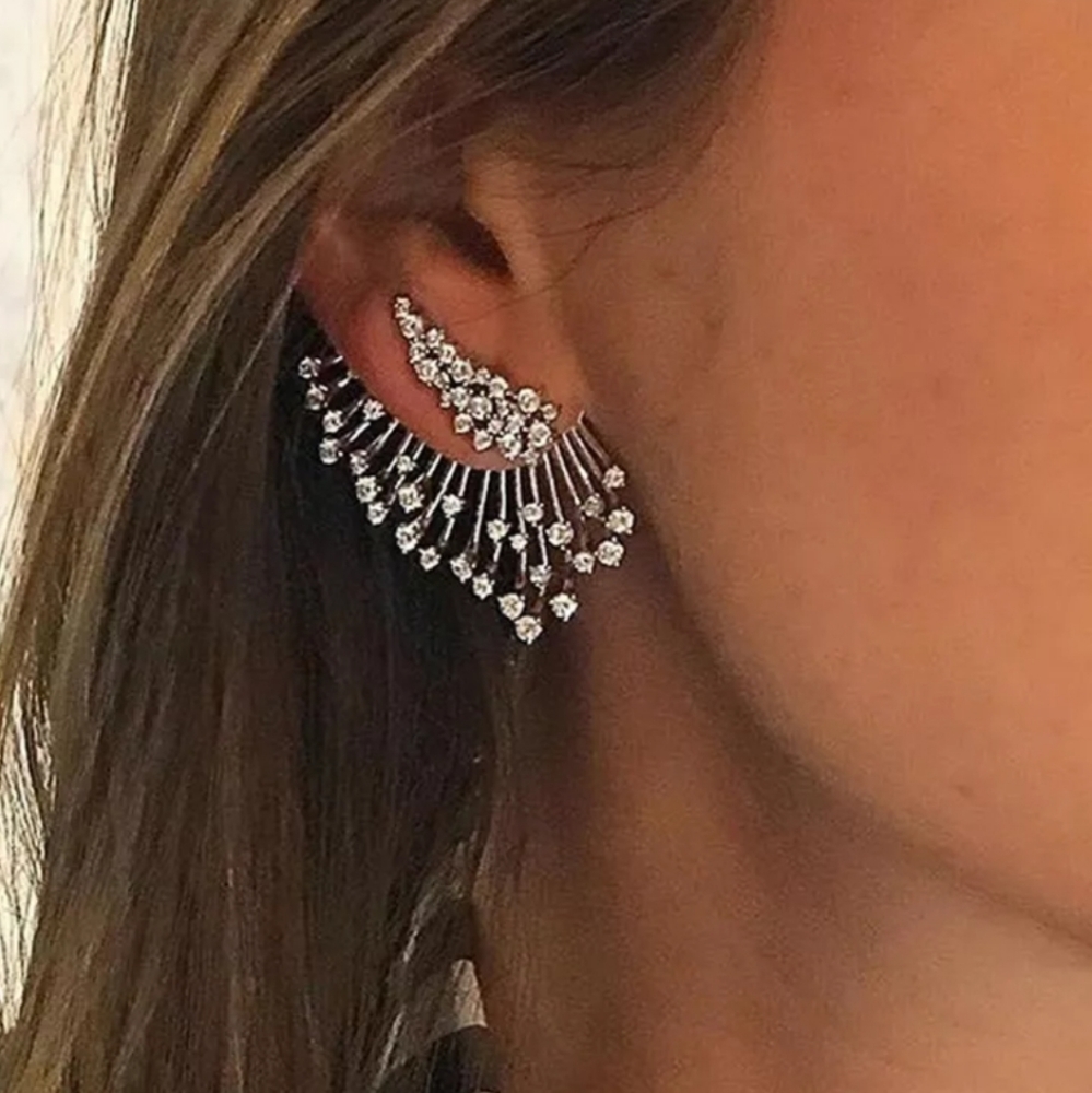🔹️Gorgeous Winged CZ Stud Earrings